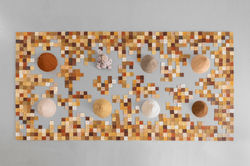 קרדיט לצלם: טל ניסים