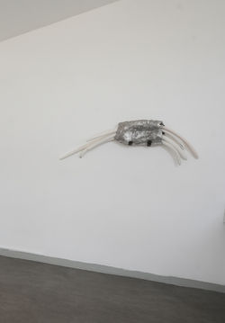 צילום: יאיר ברק