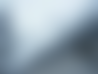 The Benefits of Gutter Guards in Cheyenne Wyoming: Keeping Snow Out and Strengthening Your Gutters