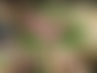 {아름다운피켓} 홈페이지가 개설되었습니다 ^^