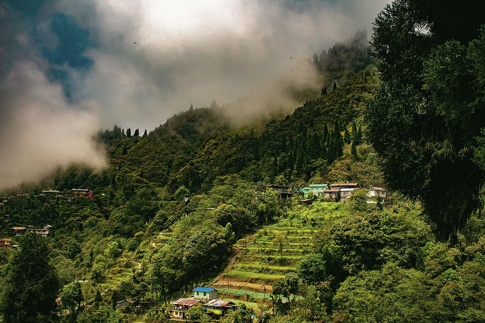 Eye-level view of a rural Indian village with small houses and open fields