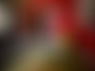 Ich werde Ihren Blick nie vergessen.