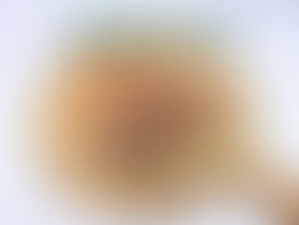 2026년 7월 생생현장레시피