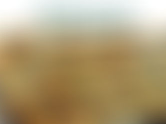 2024년 11월 생생현장 레시피