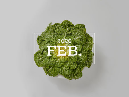 2026년 2월 신메뉴