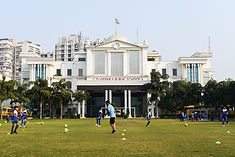 Ground-2.jpg