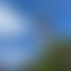 フォレスタコンサートin名古屋✨