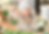 Thumbnail: Downtown Pleasanton | Corgi Canvas Tote Bag