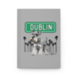 Dublin | Schauzer Journal
