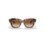 Ray-Ban RB2186 1334/51