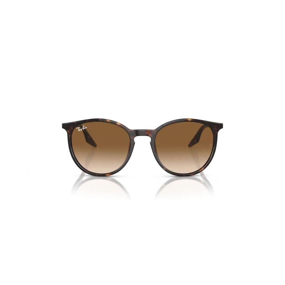 Ray-Ban RB2204