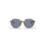 Ray-Ban RB2195