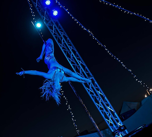 pole dancer. pole performance. strip tease. burlesque performer