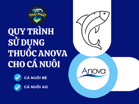 Quy trình sử dụng thuốc ANOVA cho cá nuôi