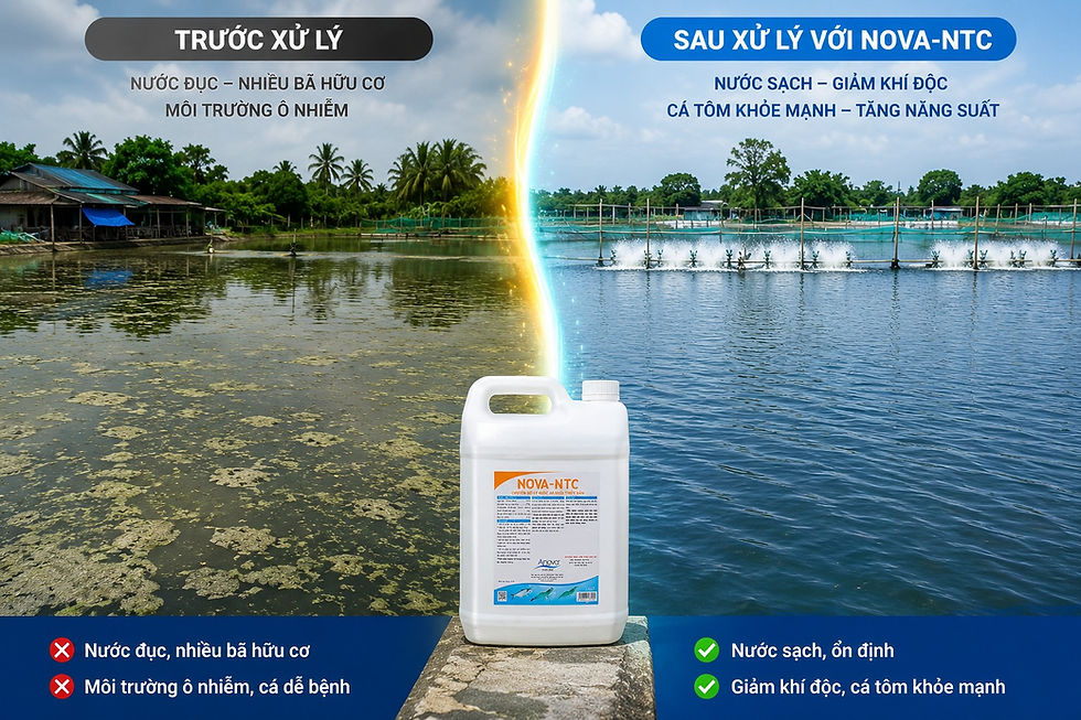 Hình thu nhỏ: NOVA NTC 5 lít - Xử lý nước ao bị ô nhiễm, lắng đọng các chất hữu cơ lơ lửng