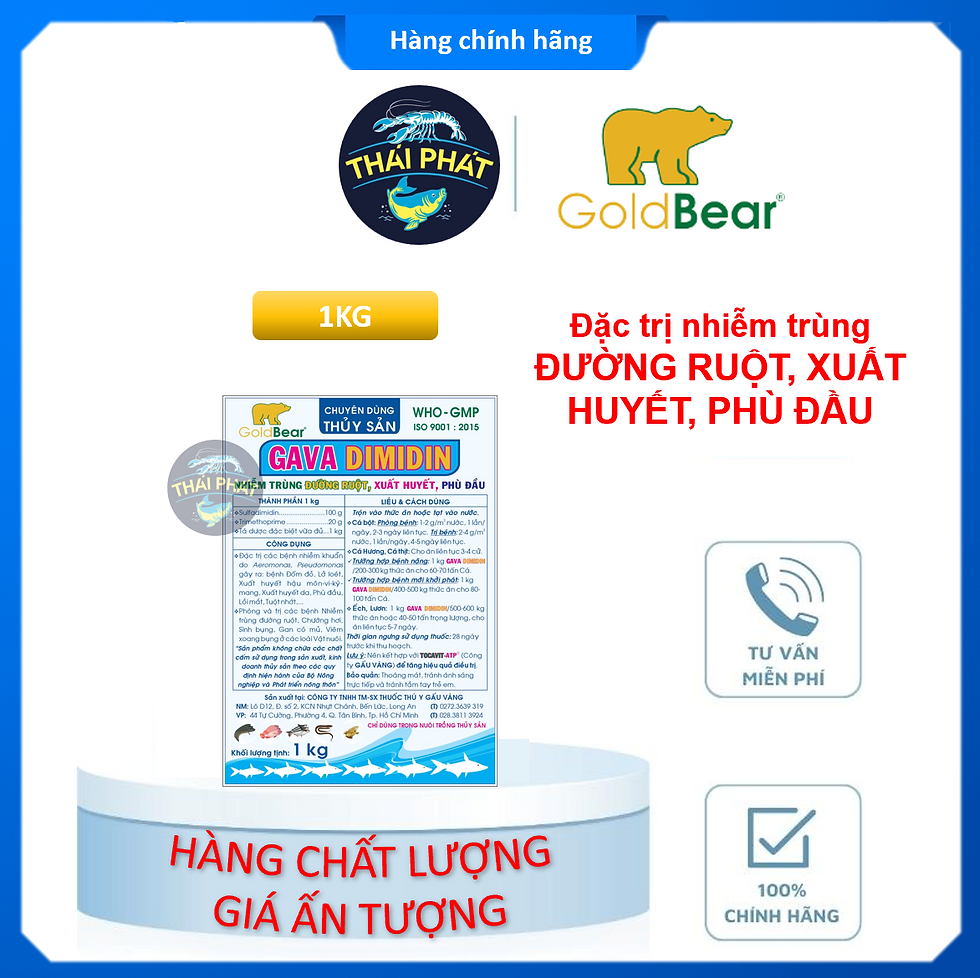 Hình thu nhỏ: GAVA DIMIDIN - Đặc trị nhiễm trùng đường ruột, xuất huyết, phù đầu