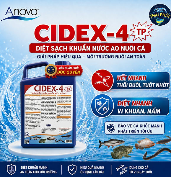 CIDEX 4.jpeg