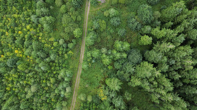 Plataformas Multidestinos