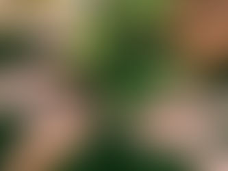 Tierra para la coherencia y la conexión con lo local