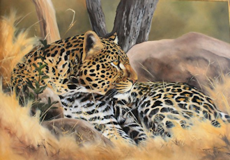 Gerhard Smit - Leopard