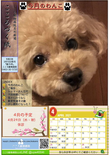 こころづく紙 Vol.75