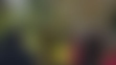 A season of foraging with GFiG