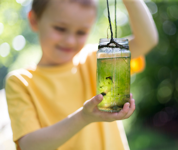 Pond dipping.png