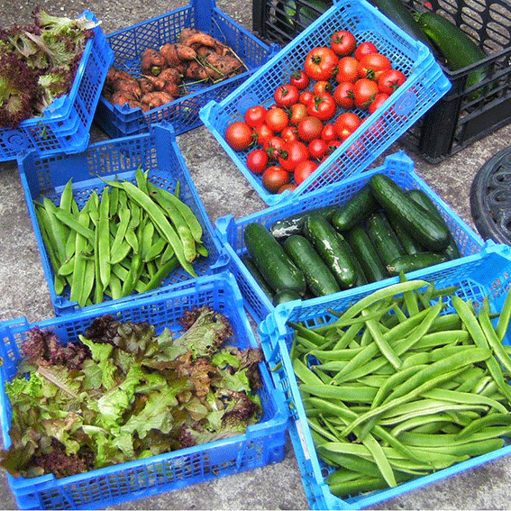 fresh_veg.gif