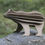 Miniature : Ours - brun