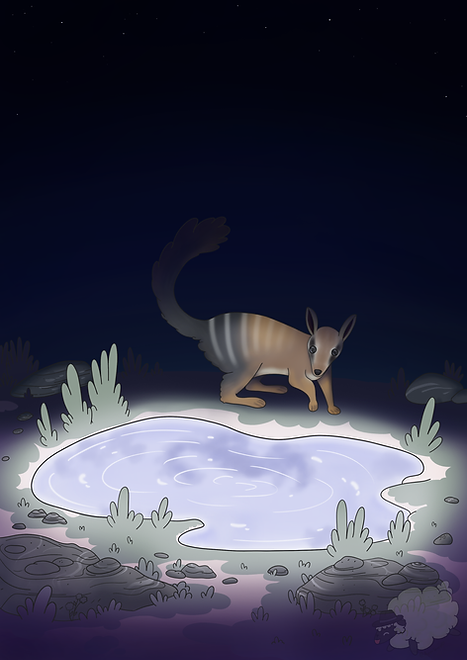NumbatFindsAMagicalPondTwitter.png