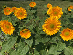 IMG_7889.jpeg