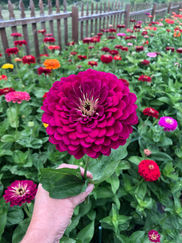IMG_7932.jpeg