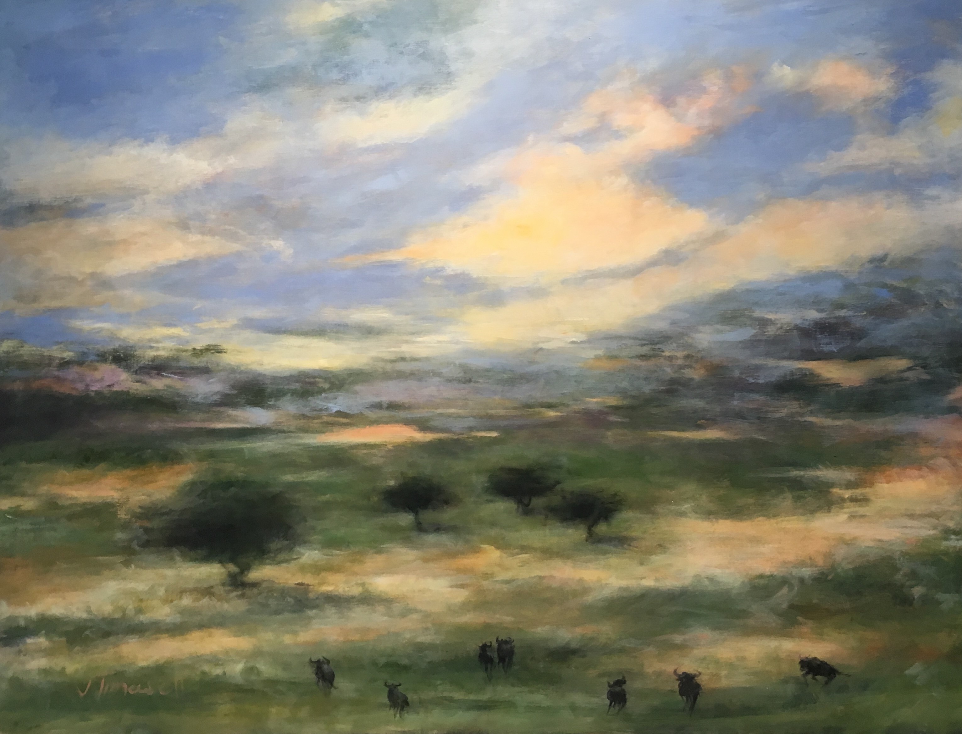Wildebeest - Serengeti
