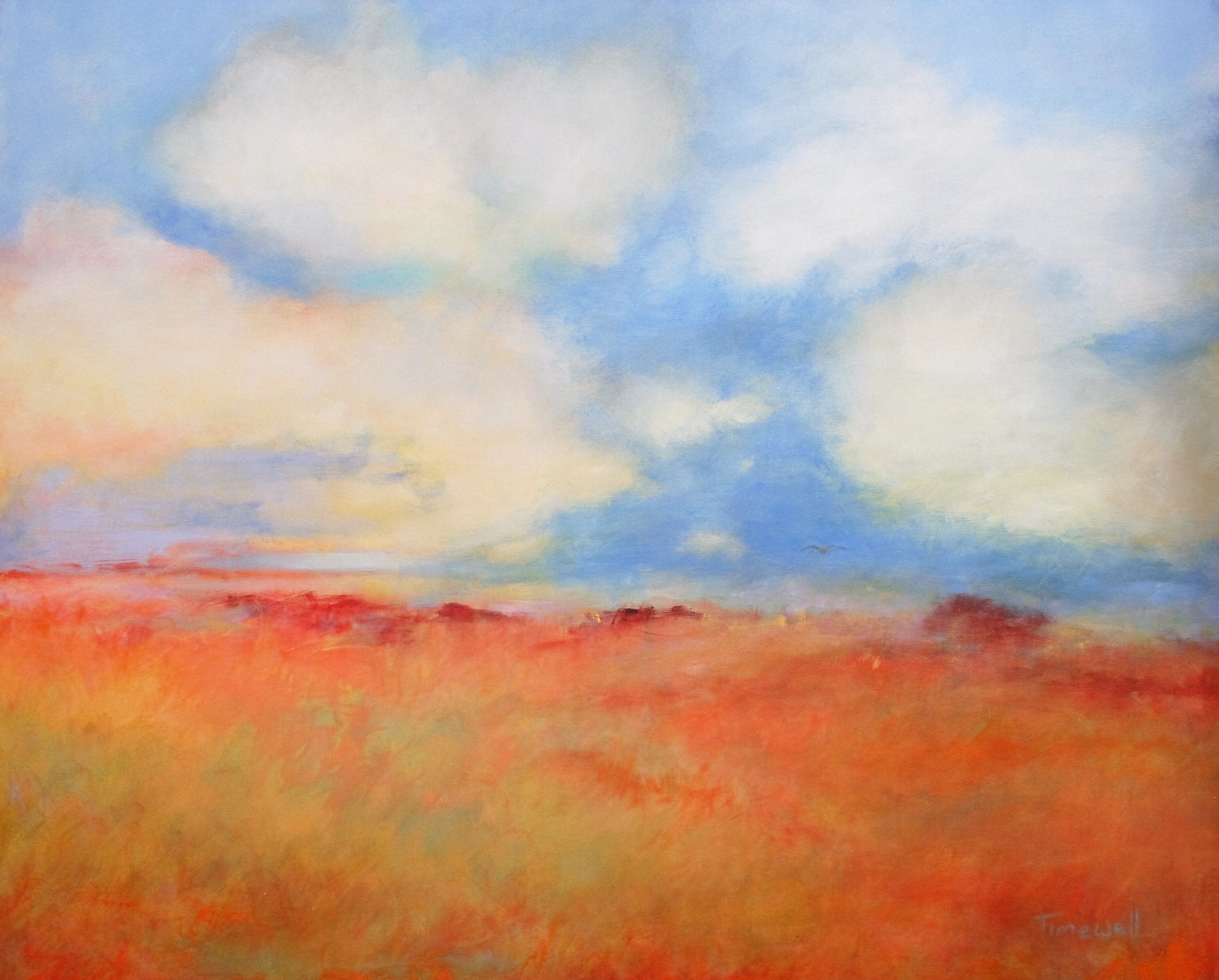 Namaqualand