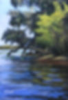 On the St Johns River