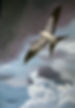 Approching Strom