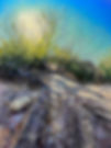 Desert Shadows