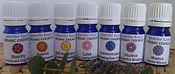 Medical Intuitive, Medical Intuitive Reader, Intuitive Reading, Jennifer Kaye, Healing Master