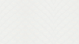1.png.png