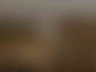 Header Website Lokalhelden Nordost