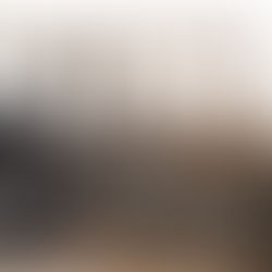 Banner Recap 2025 Jahresrückblick Zander Holzstudio Kyritz