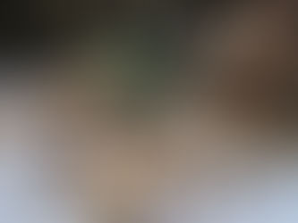 Fichtenholz wurde gehackt und wird nun zum Trocknen im Winter aufgestapelt