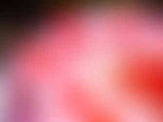 Eine Festtagstorte mit Sahne und Himbeeren als Topping, handgefertigt in der Bäckerei Stadige