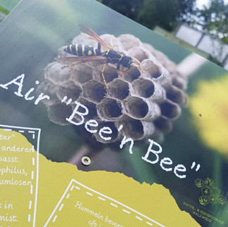 Fyler der Erlebnis Imkerei Waldwiese