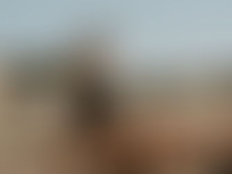 Laura und Frederic Bandelow füttern ihre Hühner auf dem Hof Sählenfroh bei Lychen