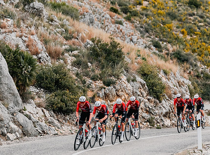 WhatsApp Image 2026-02-14 at 17.34.20 (3).jpeg