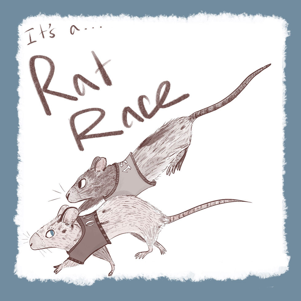 Rat Race