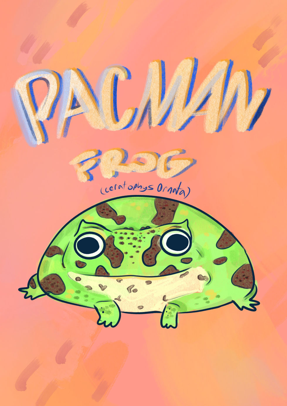 Pacman Frog