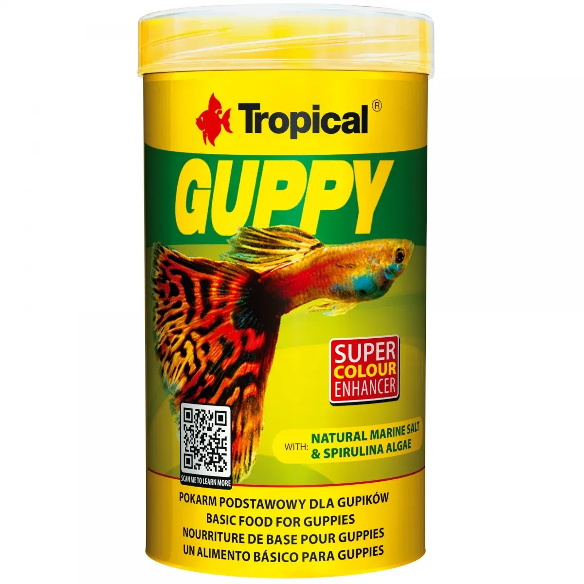 Tropical Guppy