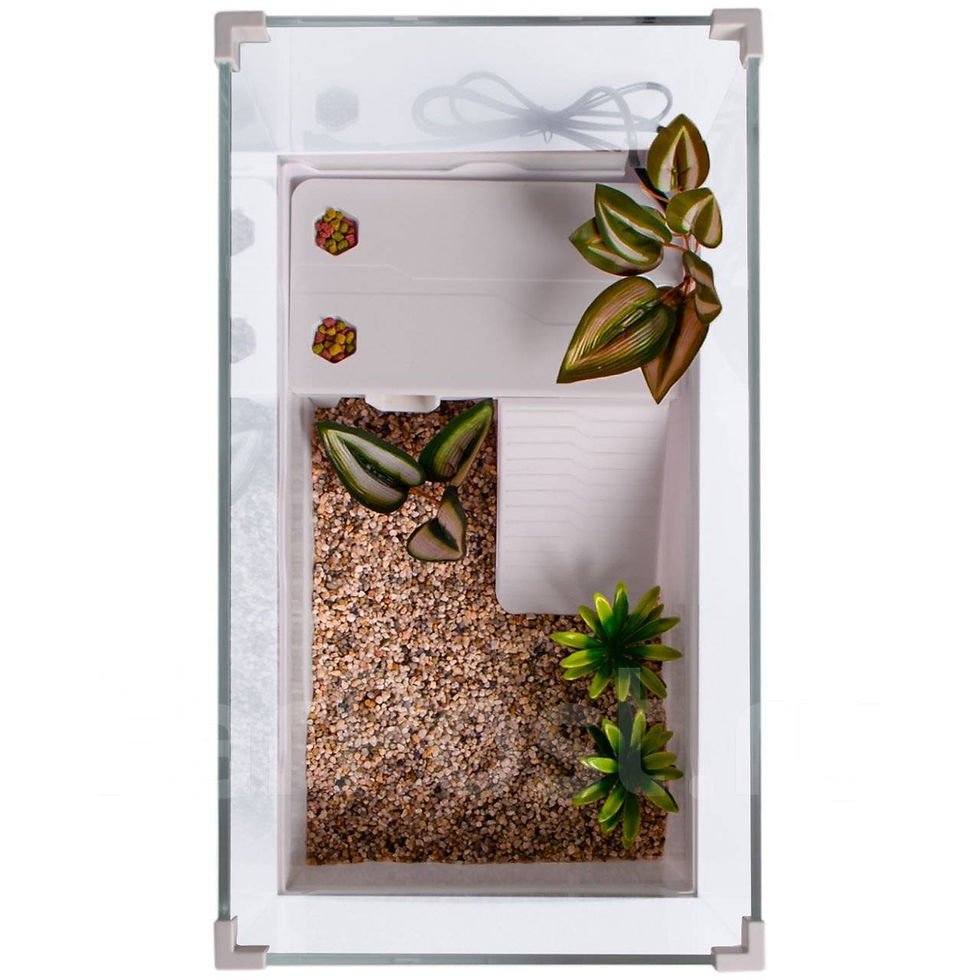 Miniatura: Sunsun Kit Tortuguero / Aquaterrario FG-C4F – 41 × 23 × 26 cm
